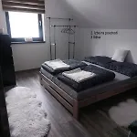 Tadorka, Oscadnica Čadca